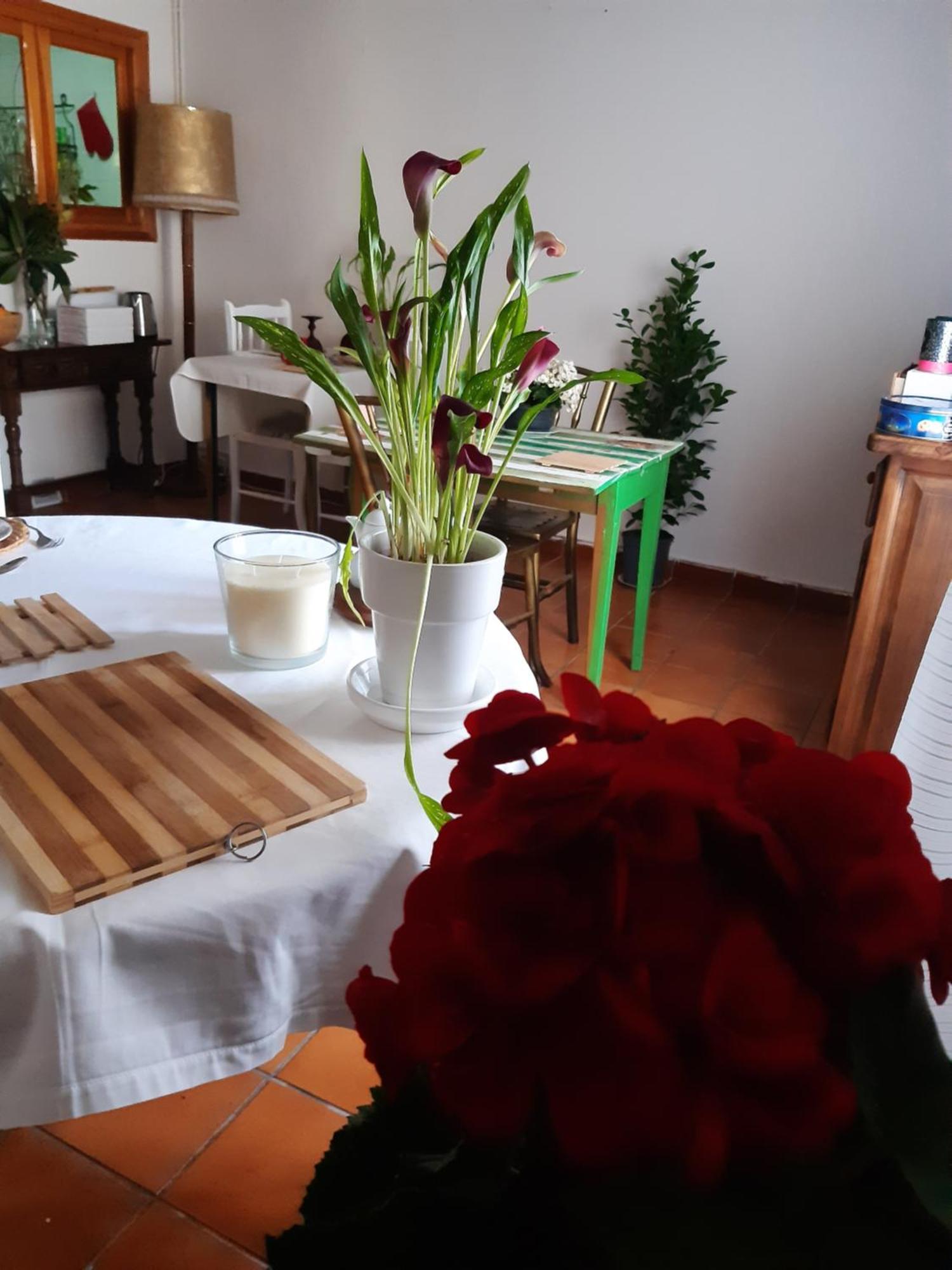 Musas Gastro Casa Rural Lägenhet Valdealgorfa Exteriör bild