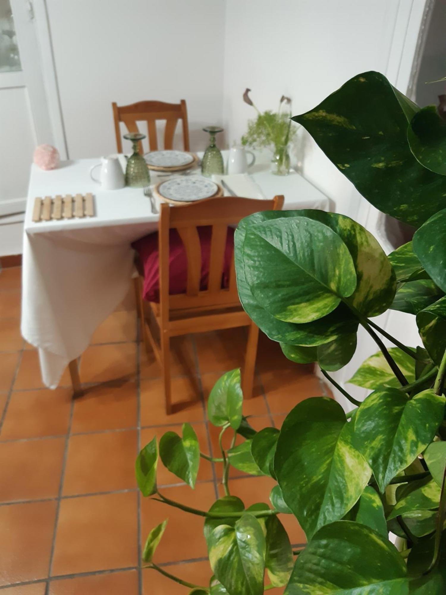 Musas Gastro Casa Rural Lägenhet Valdealgorfa Exteriör bild